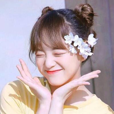 澳门天天免费资料大全下载